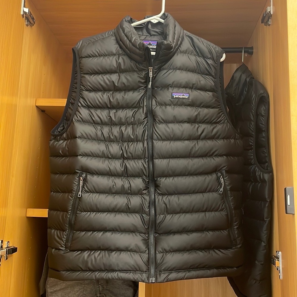 Mens Patagonia Down Sweater Vest